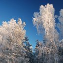 ���� ������, ������, 75 ��� - ��������� 7 ������ 2015 � ������ ������ ��������