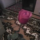 ���� ����, ������, 67 ��� - ��������� 16 ������� 2014 � ������ ���� ����������