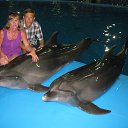 ���� �������, �������, 65 ��� - ��������� 8 ������� 2015 � ������ ���� ����������