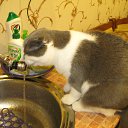 ���� ������. �� �����., ���� - ��������� 26 ������� 2015 � ������ ������ ��������