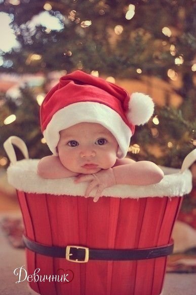  -    ,   ,   ...   ? ...