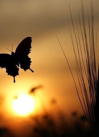 Психология отношений - 22 марта 2015 в 19:32 - 2