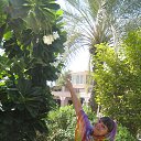 Abu Dabi 2014 �� ������� ���� ����������