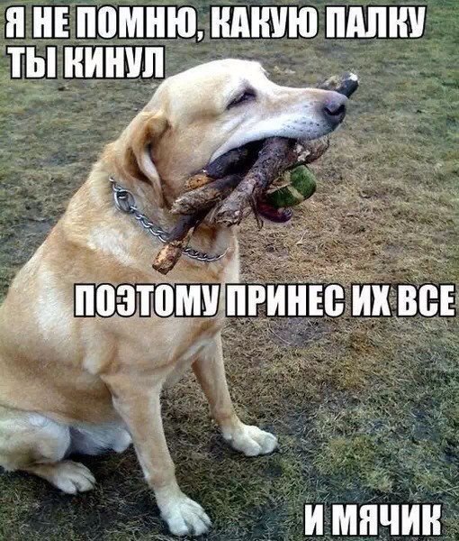   - 10  2015  20:42