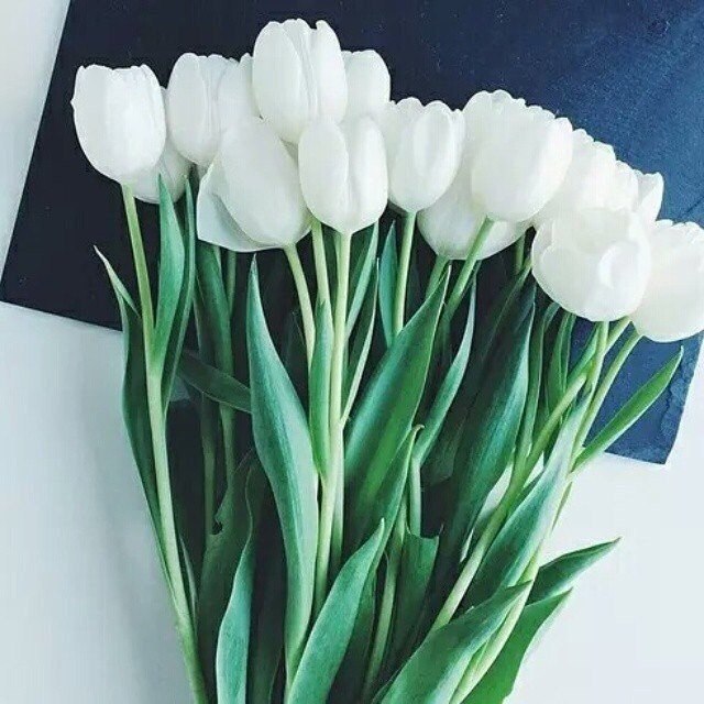   |  |  - 26  2015  18:42 - 5