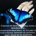  Vladimir,  -  16  2015   