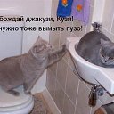  ********, - -  24  2015   