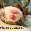 ���� ������, ����-���������, 41 ��� - ��������� 22 ����� 2015