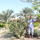 HURGHADA 2015 �� ������� ���� ����������
