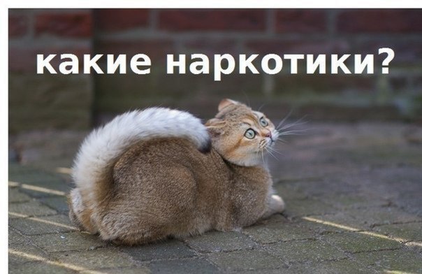       - 23  2015  13:30