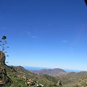 ���� �������, �������� - ��������� 14 ������� 2015 � ������ ���� ����������