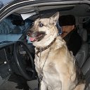 ���� Volk, �����, 67 ��� - ��������� 5 ����� 2015 � ������ ���� ����������