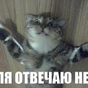 ���� Ii ������ Ii, ������� - ��������� 6 ������� 2015 � ������ ������ ��������