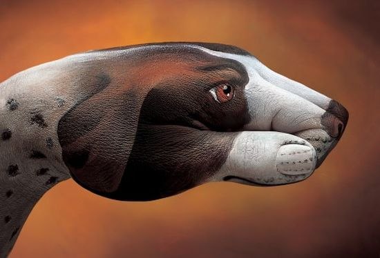Рукозвери Гвидо Даниэле.Итальянский художник Гвидо Даниэле (Guido Daniele) — мастер ... - 10