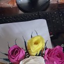 ���� �����, ������, 35 ��� - ��������� 4 ������ 2015 � ������ ������