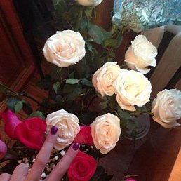 &brvbar;�� �� �� ��&brvbar;, �����������, 29 ���