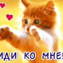 ���� Sergei, ���������, 62 ���� - ��������� 1 ������� 2015 � ������ ����������