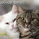  , --, 40  -  27  2015    