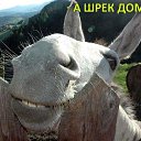 ���� �������, ������-��-����, 46 ��� - ��������� 21 ������ 2015 � ������ ������ ��������