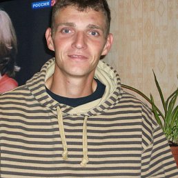  , -, 41  -  31  2014