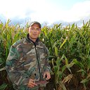 ���� ��, ���������, 46 ��� - ��������� 8 ������ 2015 � ������ ���� ����������