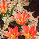  , , 60  -  13  2015      11.04.15.