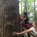  , , 73  -  19  2014   л