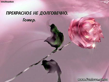 В каждом возрасте- чувства свои. Свои мысли, желанья, стремления. Поле жизни непросто пройти без ...