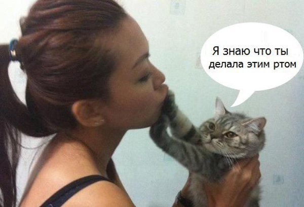 Memes&Streams - 16 ������� 2014 � 19:06