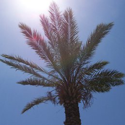 ����, ��������