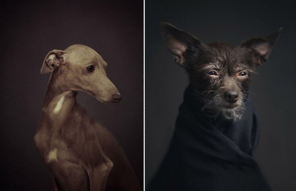 Бельгийский фотограф Винсент Лагрнаж (Vincent Lagrange) в основном специализируется на ... - 7
