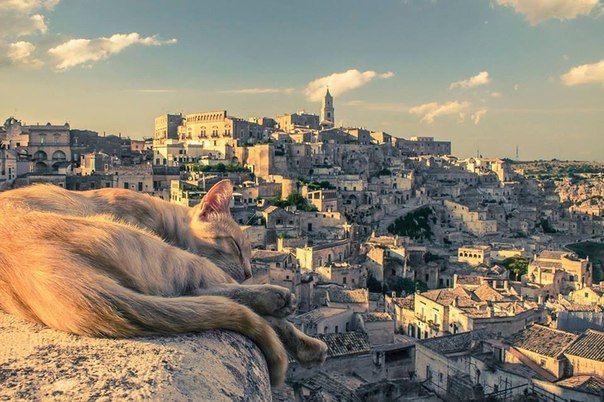     ...  :   (Matera).: Marco Delucia