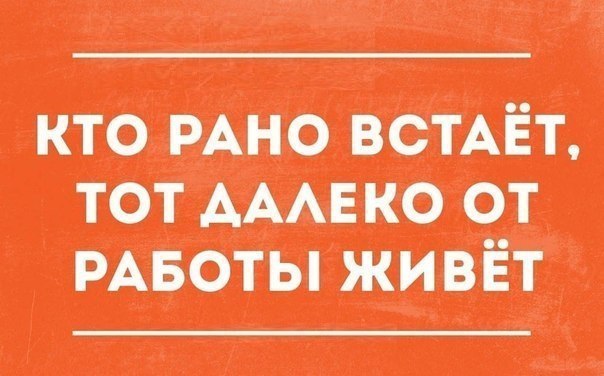   - 3  2015  15:31