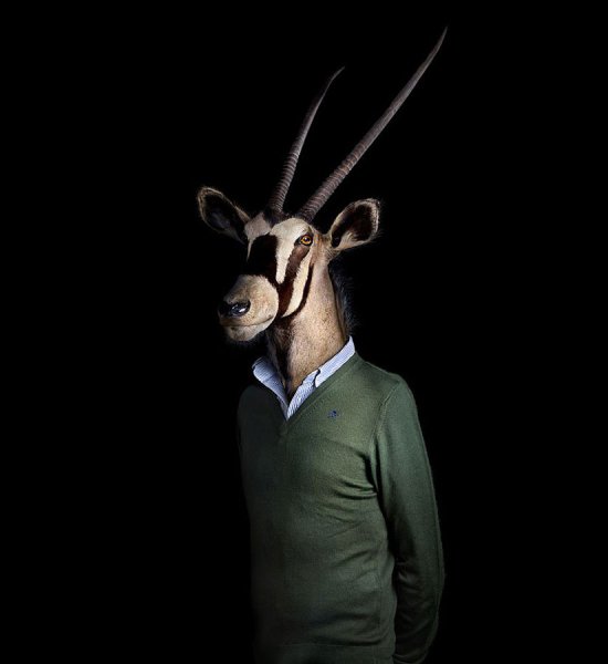     .     (Miguel Vallinas)  ... - 3