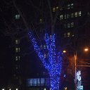 ���� ����, �������, 66 ��� - ��������� 30 ������� 2014 � ������ ������� ��� 2014�