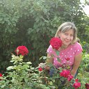 ���� �����, ����������� - ��������� 6 ����� 2015 � ������ ���� ����������