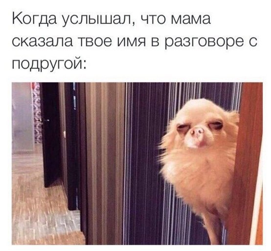   - 29  2015  16:31
