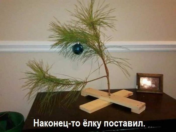   - 20  2014  15:55