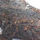  , , 63  -  5  2015     .