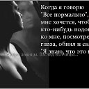���� �����, ���������, 41 ��� - ��������� 31 ������ 2015 � ������ ������ ��������