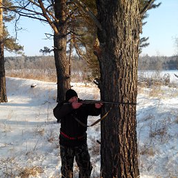 ���������, ����������, 50 ���