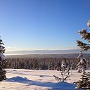 ���� �����, ����, 44 ���� - ��������� 15 ������ 2015 � ������ ������ ��������