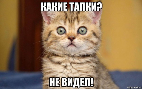     .     :D - 39
