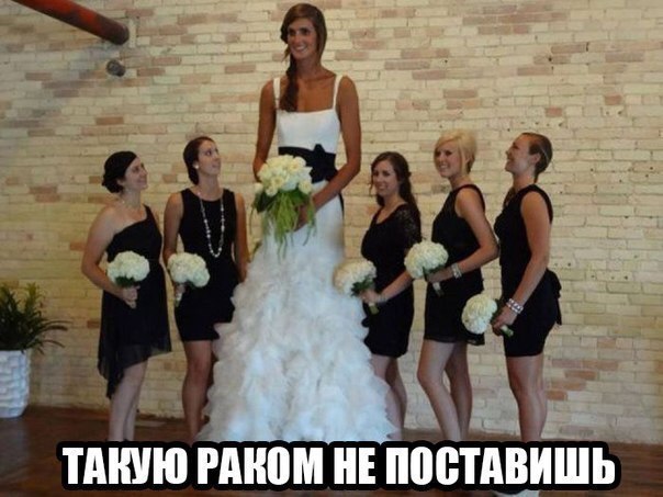  - 13  2015  13:44