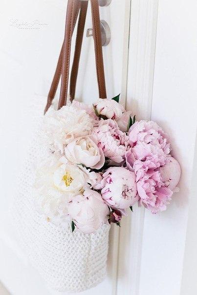    - 12  2015  13:33 - 8