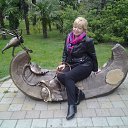  , -, 61  -  13  2015    2015