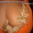 ���� �����, ������, 46 ��� - ��������� 15 ������ 2015 � ������ �18+�