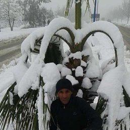soudani mahmoud, 41, 