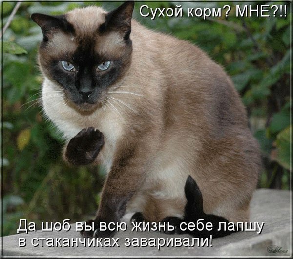      - 3  2015  13:31