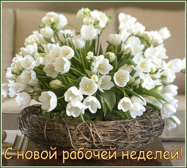  - 2  2015  08:54